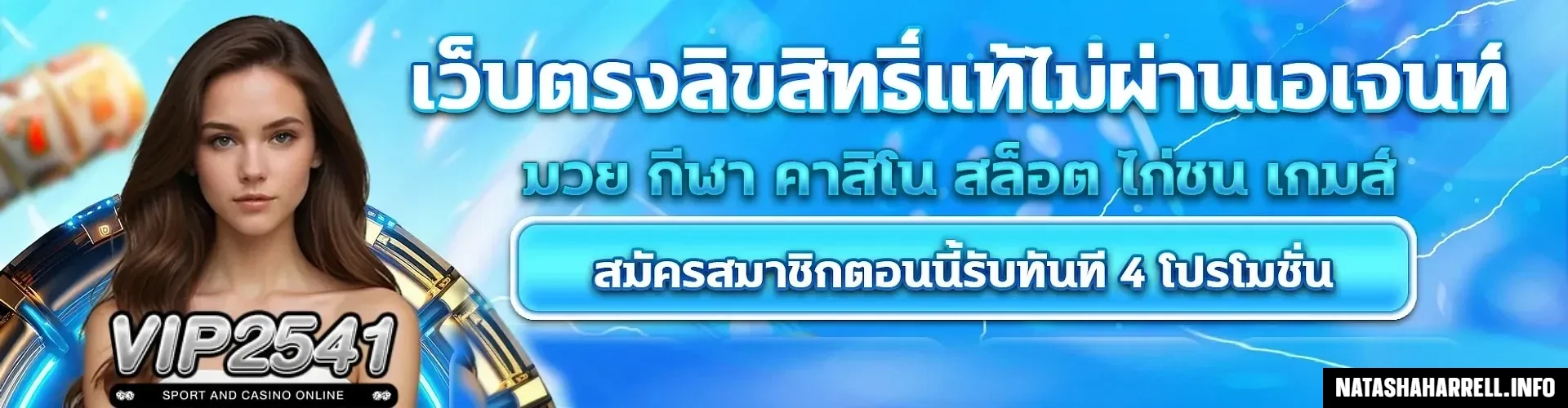 vip2541 ทางเข้า 4